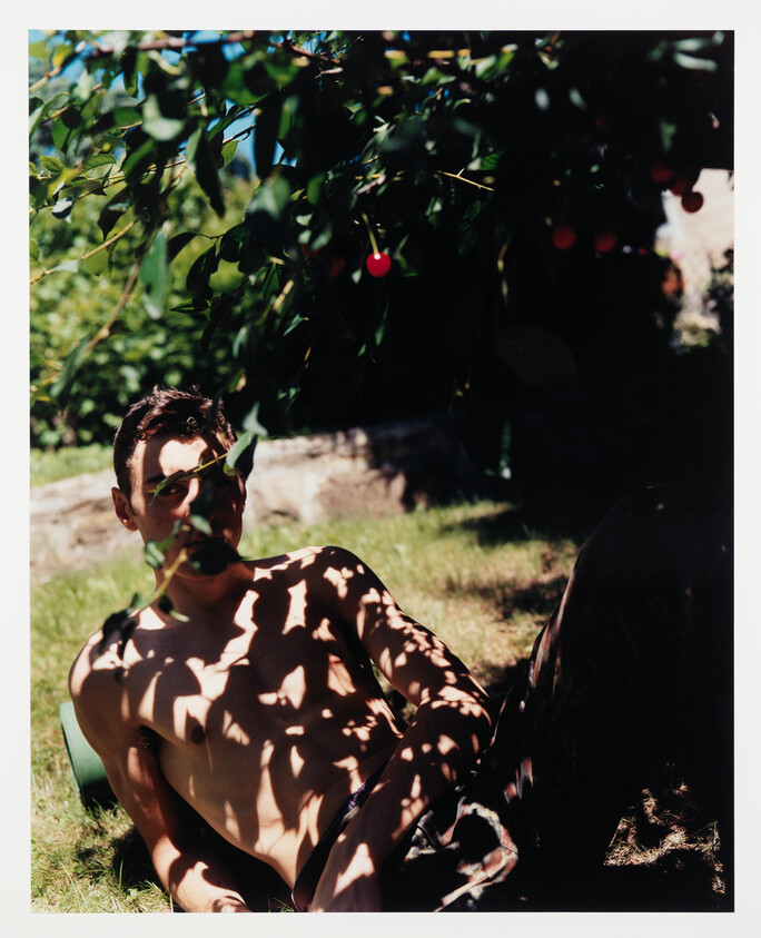 Man sitting under a cherry tree with dappled sunlight casting shadows on his body.