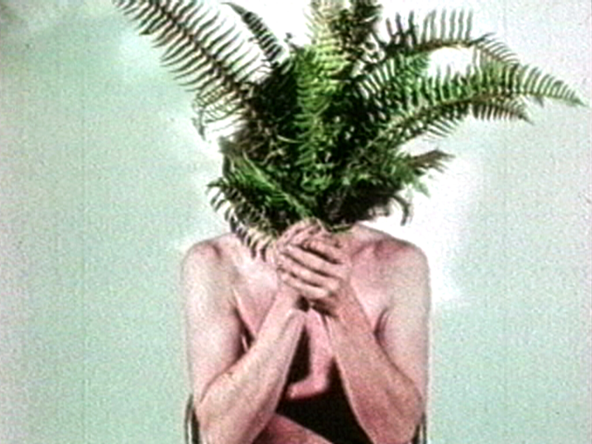 A bare-chested person holds a large fern in front of their face while sitting.