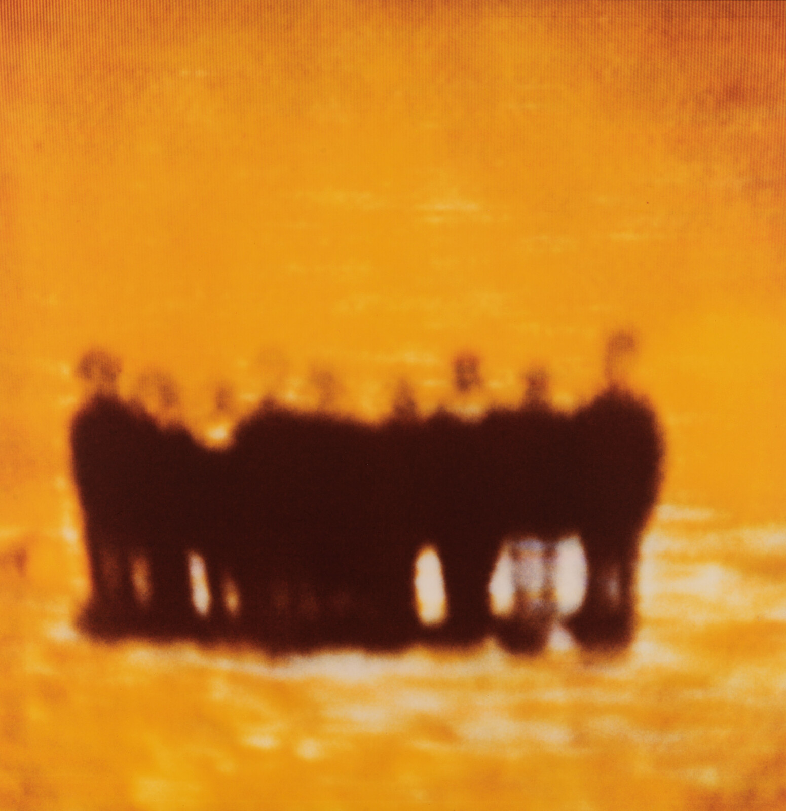 A herd of dark animals stands together in shallow water against an orange sunset reflection.