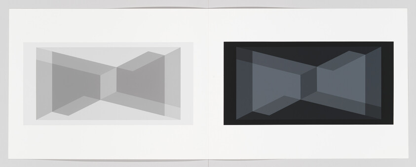 Two rectangular panels show mirrored translucent geometric shapes, one light gray on left and one dark gray on right.