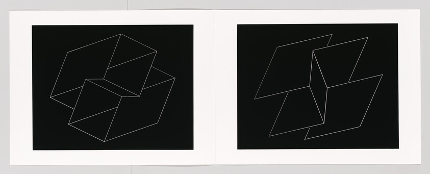 Two black panels show white wireframe geometric cube shapes side by side on a white background.