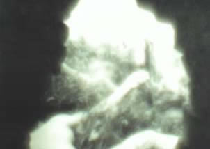 A blurry and indistinct image showing a light source with some obscured shapes that could be interpreted as foliage or other objects. The overall details are difficult to discern due to the low resolution and lack of clarity.