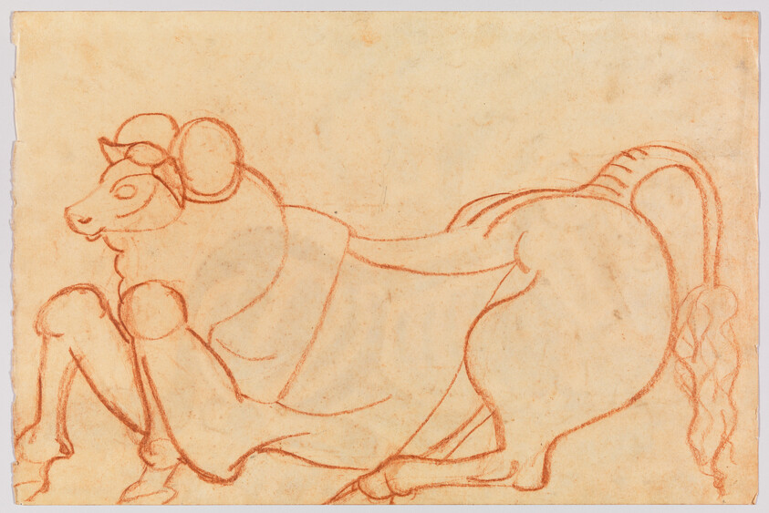 A red chalk drawing depicts a reclining ram with curled horns and a long tail.