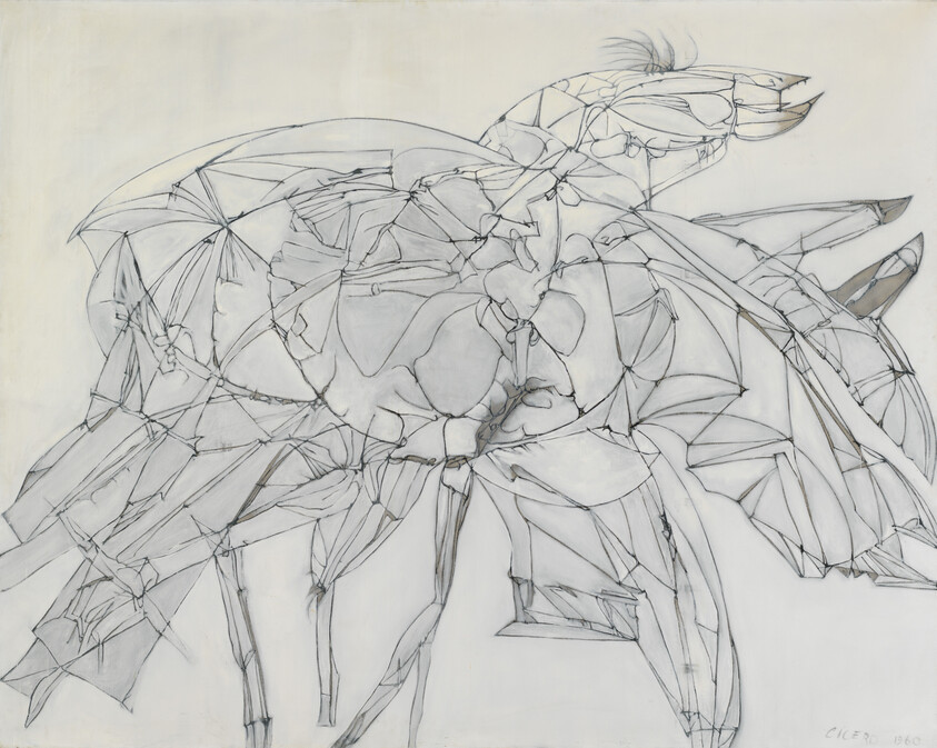 Large abstract line drawing of a multi-winged bird-like creature rendered in delicate black pencil lines.