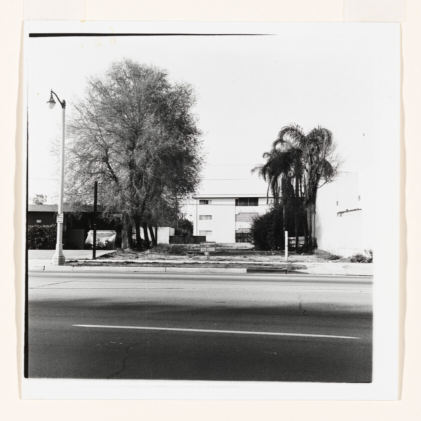 Vacant lot with large trees and a for sale sign in front of an apartment building.