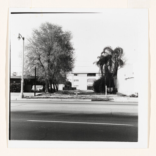 Vacant urban lot with large trees and a palm in front of a mid-rise apartment building.