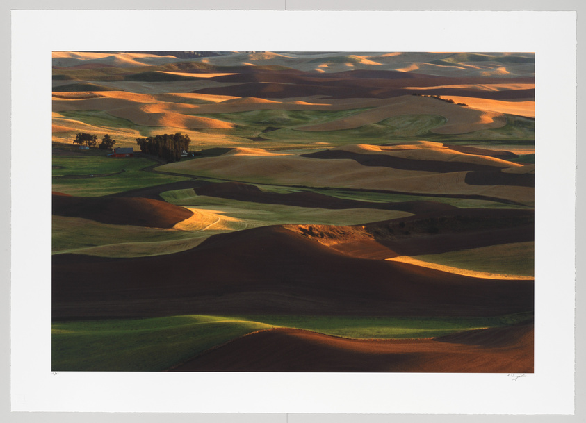 A serene landscape of rolling hills with contrasting shadows and highlights during sunset, featuring patterns of cultivated fields and a small cluster of trees and buildings in the distance.