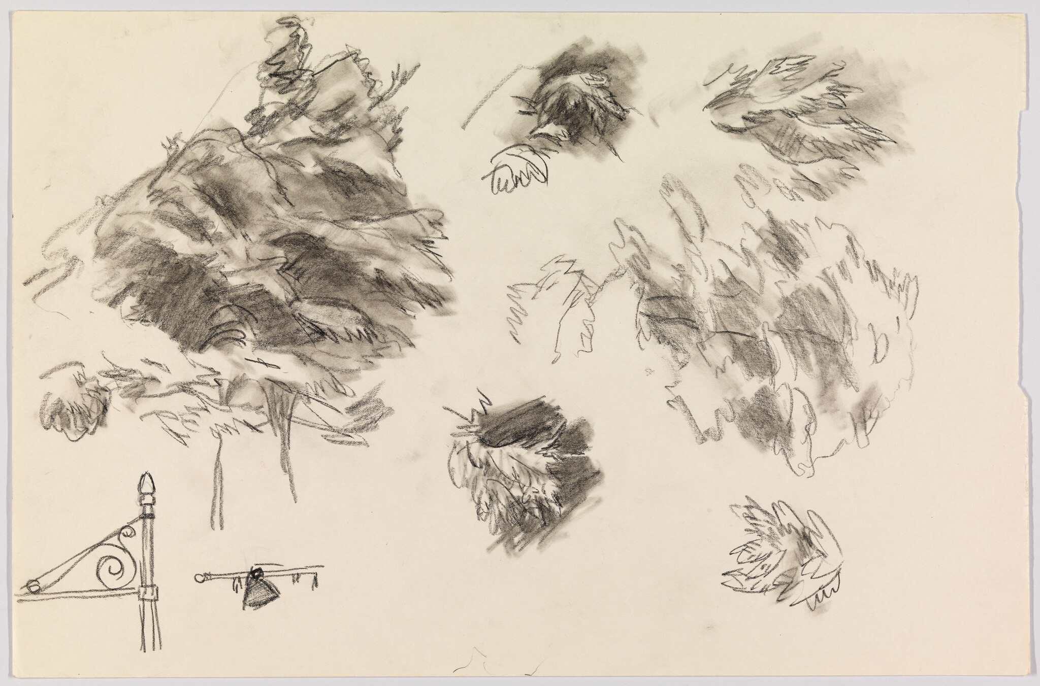 Loose pencil and charcoal sketches of tree foliage studies with a small decorative lamp bracket.