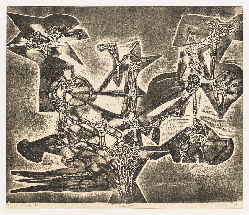 Abstract network of dark, lacy shapes and angular forms across a textured pale background.