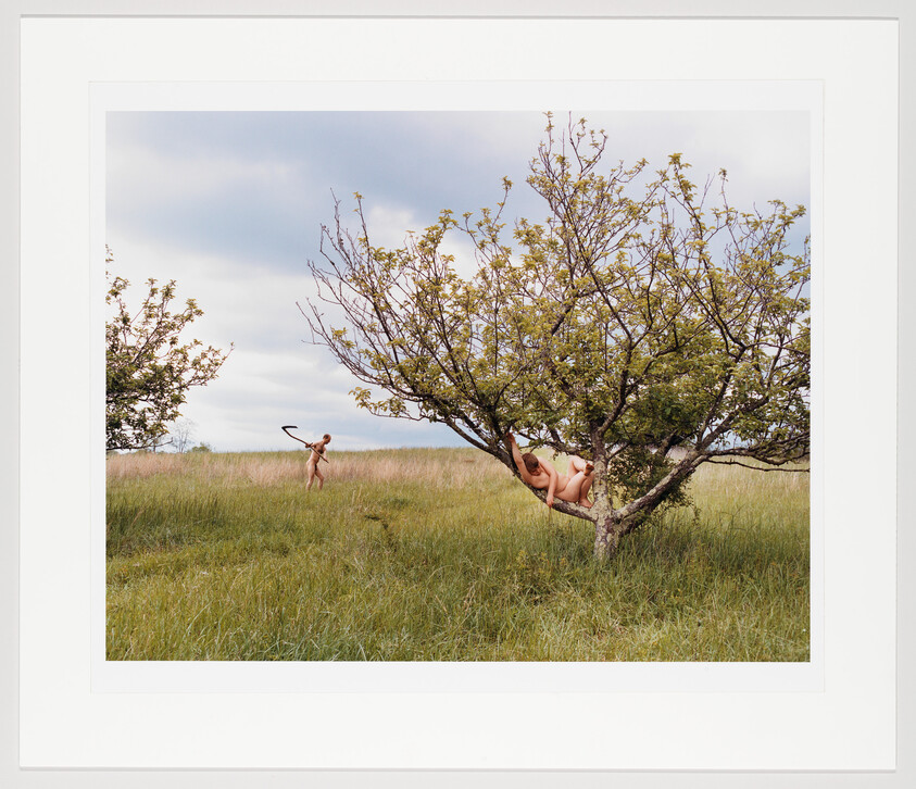 A person lies curled on a low tree branch while another walks through tall grass holding a scarf.