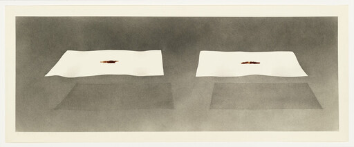 Two white sheets with small brown stains hover above soft rectangular shadows on a gray background.