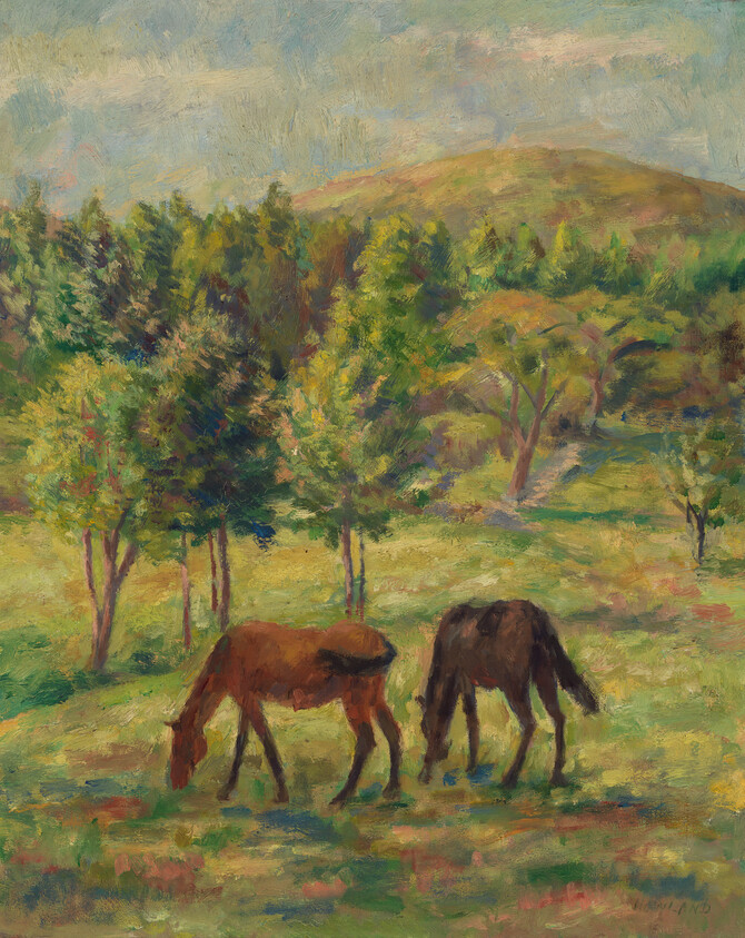 Two horses graze side by side in a sunlit meadow with trees and a distant hill.