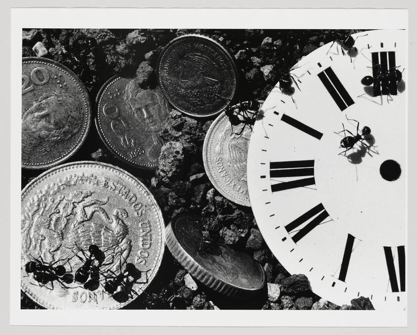 Ants crawl over coins and a broken clock face scattered on gravel.