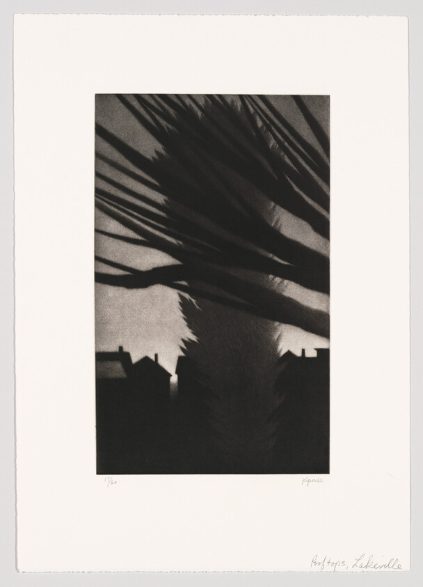 A large palm tree silhouette casts dramatic shadows over small house rooftops at dusk.