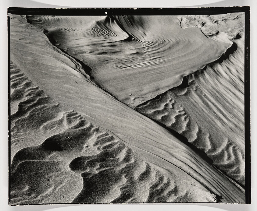 Wind-shaped sand dunes with sharp ridges and sweeping ripple patterns across the surface.