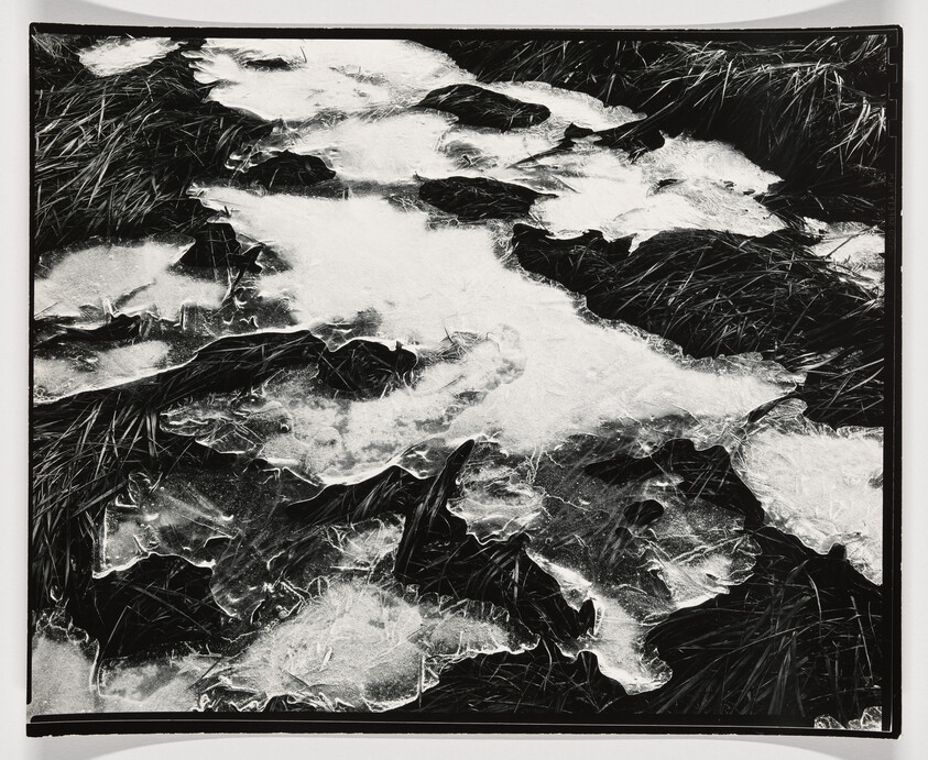 Patches of broken ice cover grassy ground, creating irregular white shapes against dark blades.