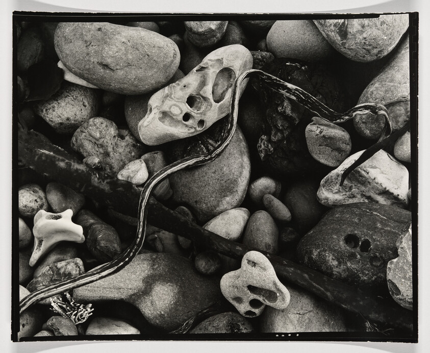 Smooth pebbles and holey driftstones scattered among tangled seaweed and small sticks on shore.