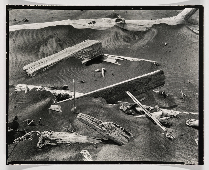 A black and white photograph depicting a desolate landscape with large pieces of driftwood scattered across rippled sand dunes. The textures of the wood and sand are highlighted by the contrasting light and shadows.