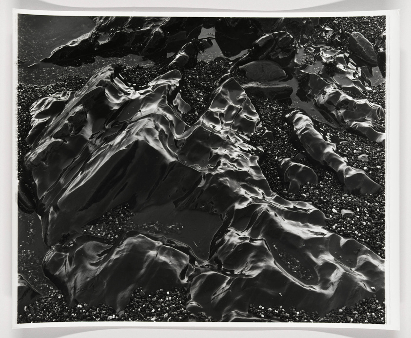 Brett Weston | Rocks (lava) | Whitney Museum of American Art