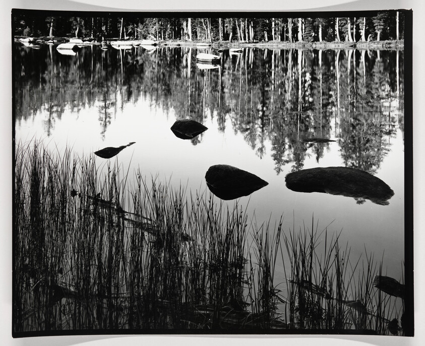 A black and white photograph of a calm lake reflecting trees with rocks and reeds in the foreground. The reflection of the trees on the water creates a symmetrical image bisected by the shoreline.