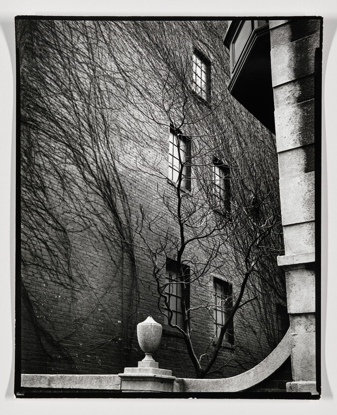 Leafless tree and its sprawling shadows climb a brick building beside a stone balustrade urn.