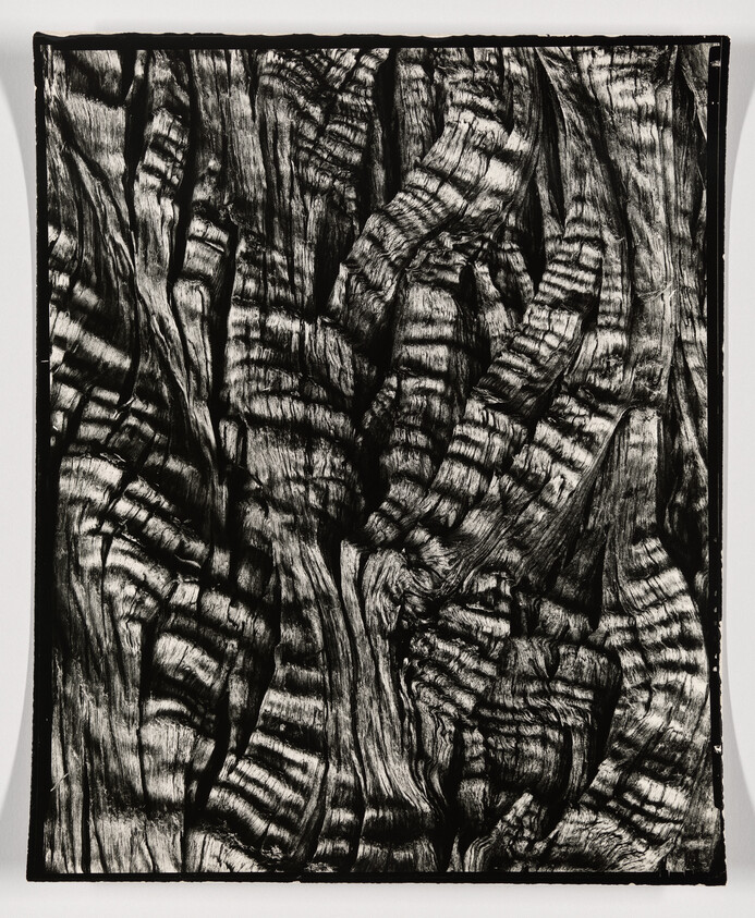 Close-up of dark, weathered wood grain with bold striped and twisted textures.