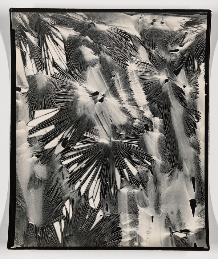 A monochromatic artwork featuring an abstract pattern that resembles a collection of feathers or leaves radiating from multiple points, creating a dynamic and textured appearance. The piece is framed and displayed against a white background.