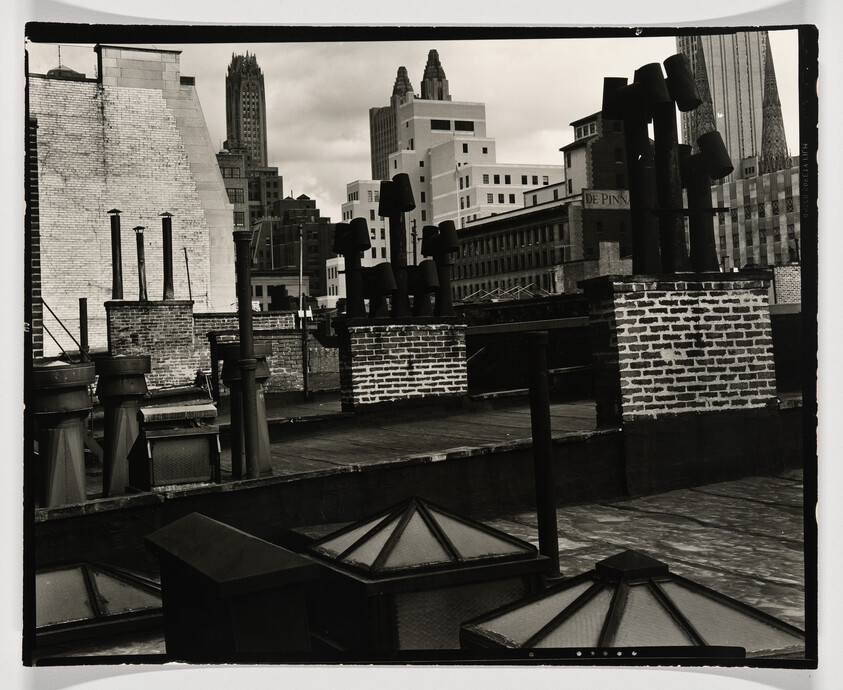 Rooftop with multiple brick chimneys and ventilation pipes against a distant city skyline.