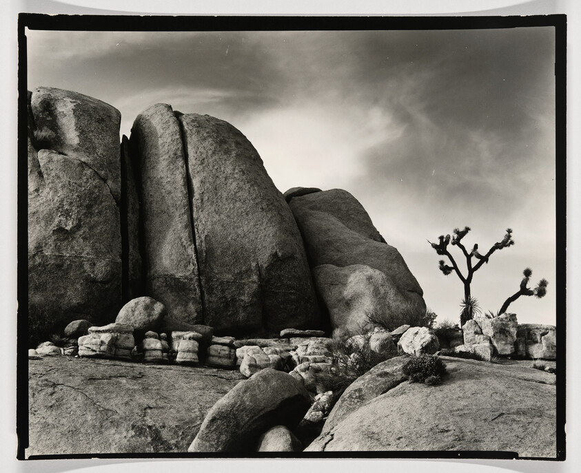 Large rounded granite boulders rise beside a lone Joshua tree under a cloudy sky.