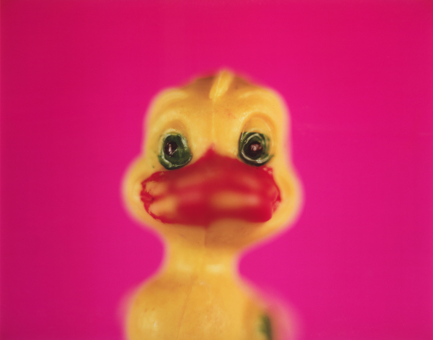 A close-up of a yellow rubber duck with a red beak against a vibrant pink background. The focus is on the duck's face, with its large black eyes and slightly worn features.