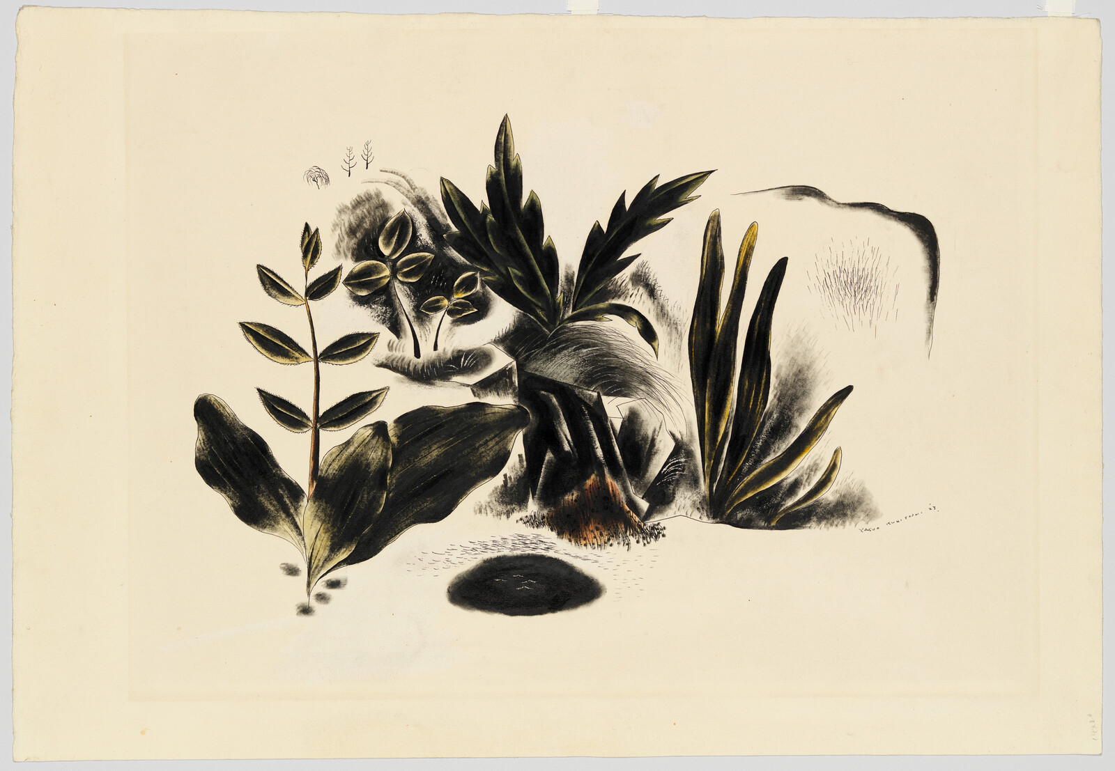 A cluster of stylized leafy plants grows around a dark circular hole in sandy ground.