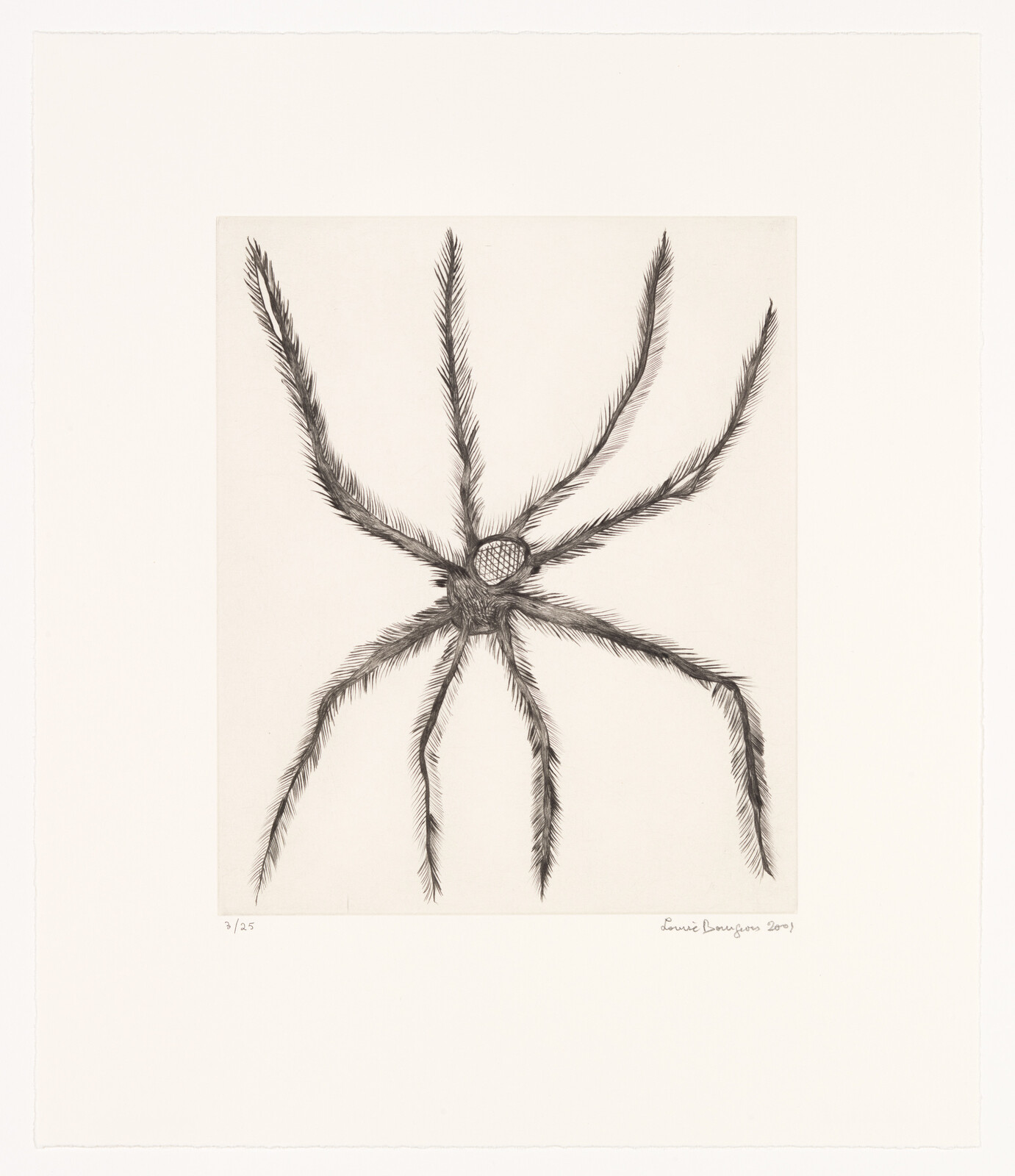 Detailed black and white etching of a spider centered on a square piece of paper, with each of its eight legs extended outward. The artist's signature and the edition number of the print are visible at the bottom.