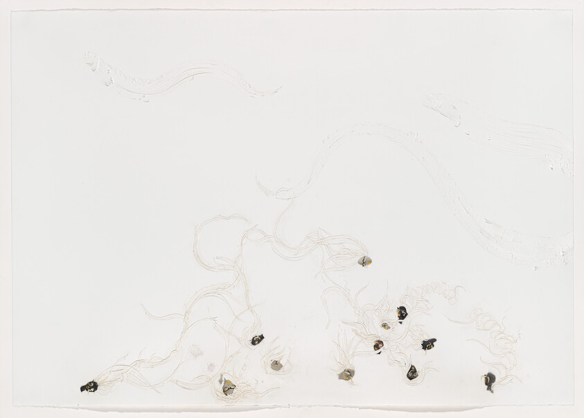 Several small dark seeds with long pale roots are scattered across a white background.