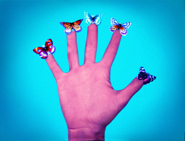 A hand with five colorful butterflies resting on the tips of each finger against a blue background.