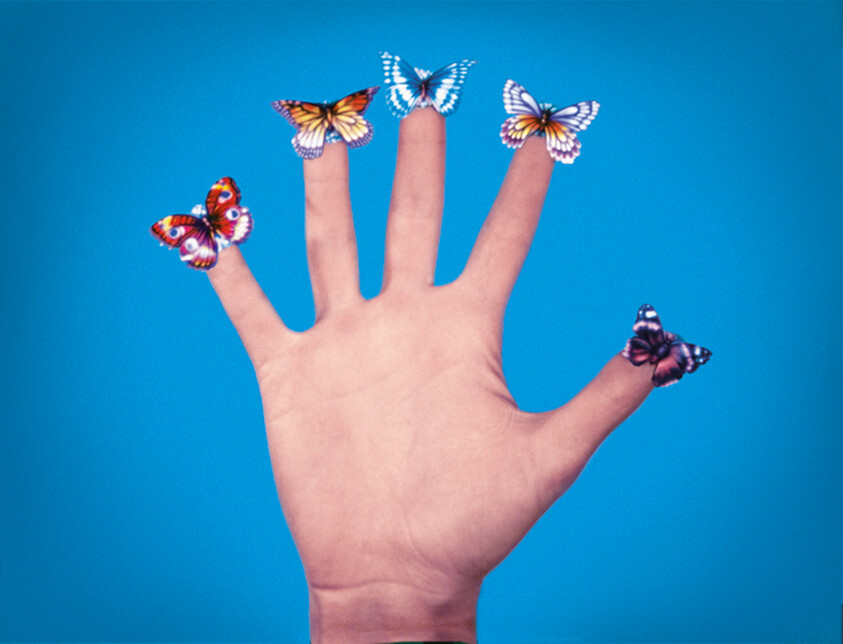 A raised hand with colorful butterflies resting on each fingertip against a blue background.