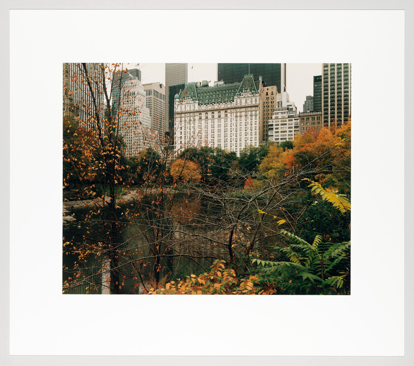 Autumn trees and a small pond frame a grand hotel and city skyscrapers in the background.