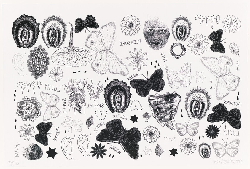 Various hand-drawn butterflies, flowers, faces, and anatomical female vulva motifs scattered across a white background.