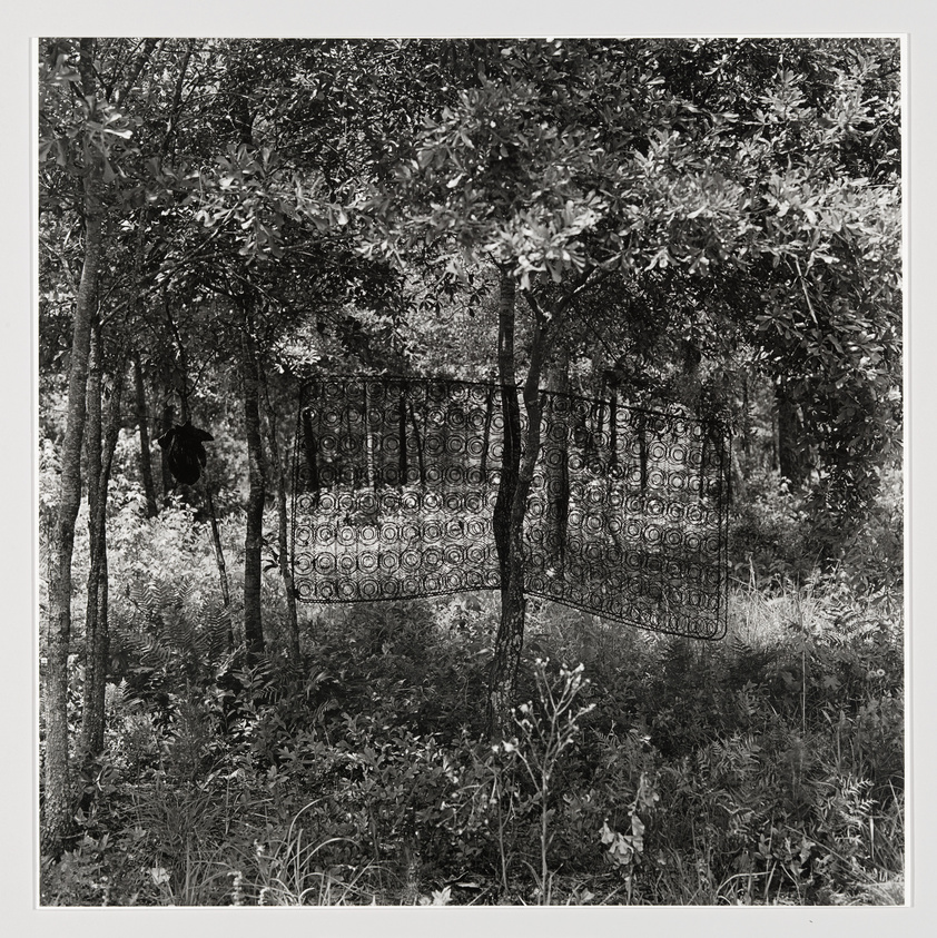 A black and white photograph depicting a dense forest with a large, ornate metal gate suspended between trees. The gate features intricate circular patterns and appears to be floating amidst the foliage. Shadows and light dapple the scene, creating a contrast between the natural environment and the man-made object.