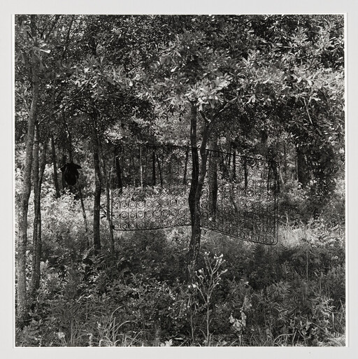 An old metal mattress spring hangs between trees in a dense forest clearing.