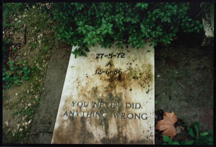 Weathered grave marker partially covered by leaves and moss reading the words you never did anything wrong.
