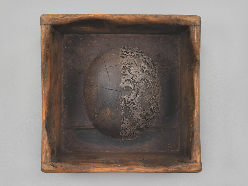 A cracked dark sphere with granular textured growth sits centered inside a weathered wooden box.