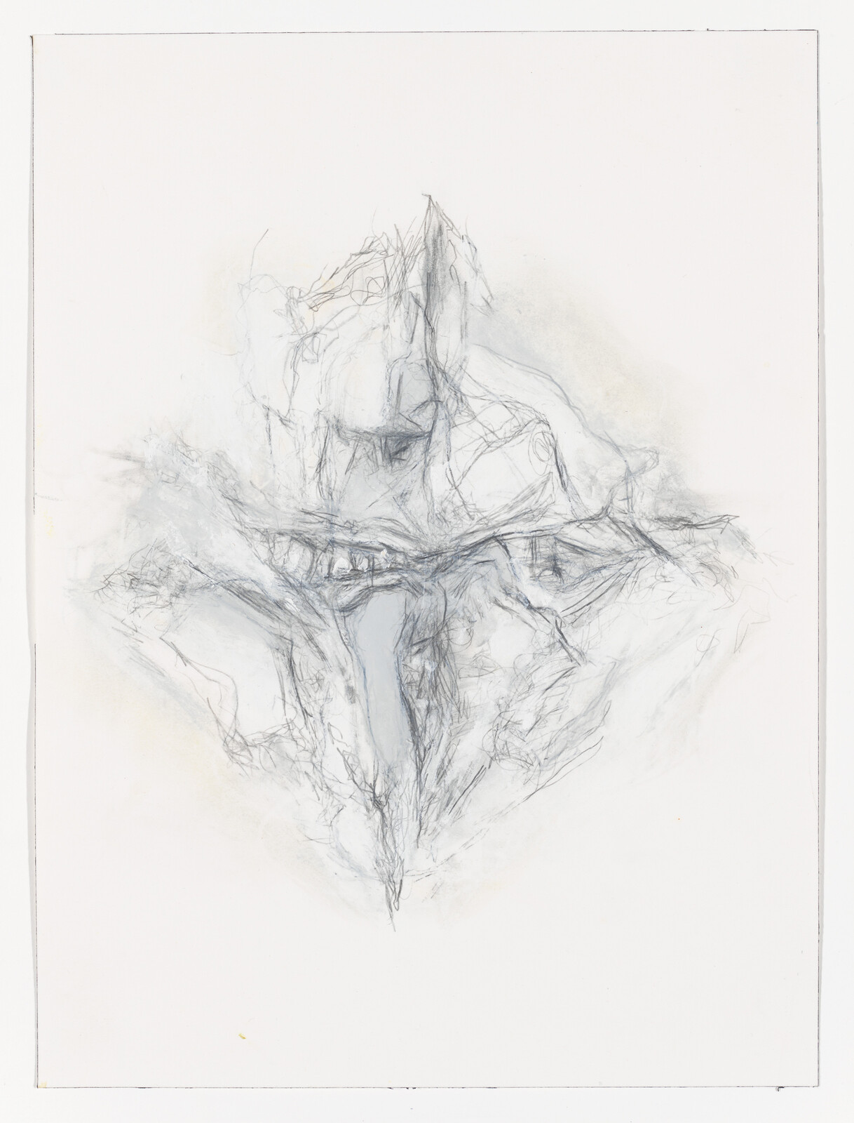 Delicate pencil sketch of an abstract mirrored face with a sharp central beak and wispy lines.