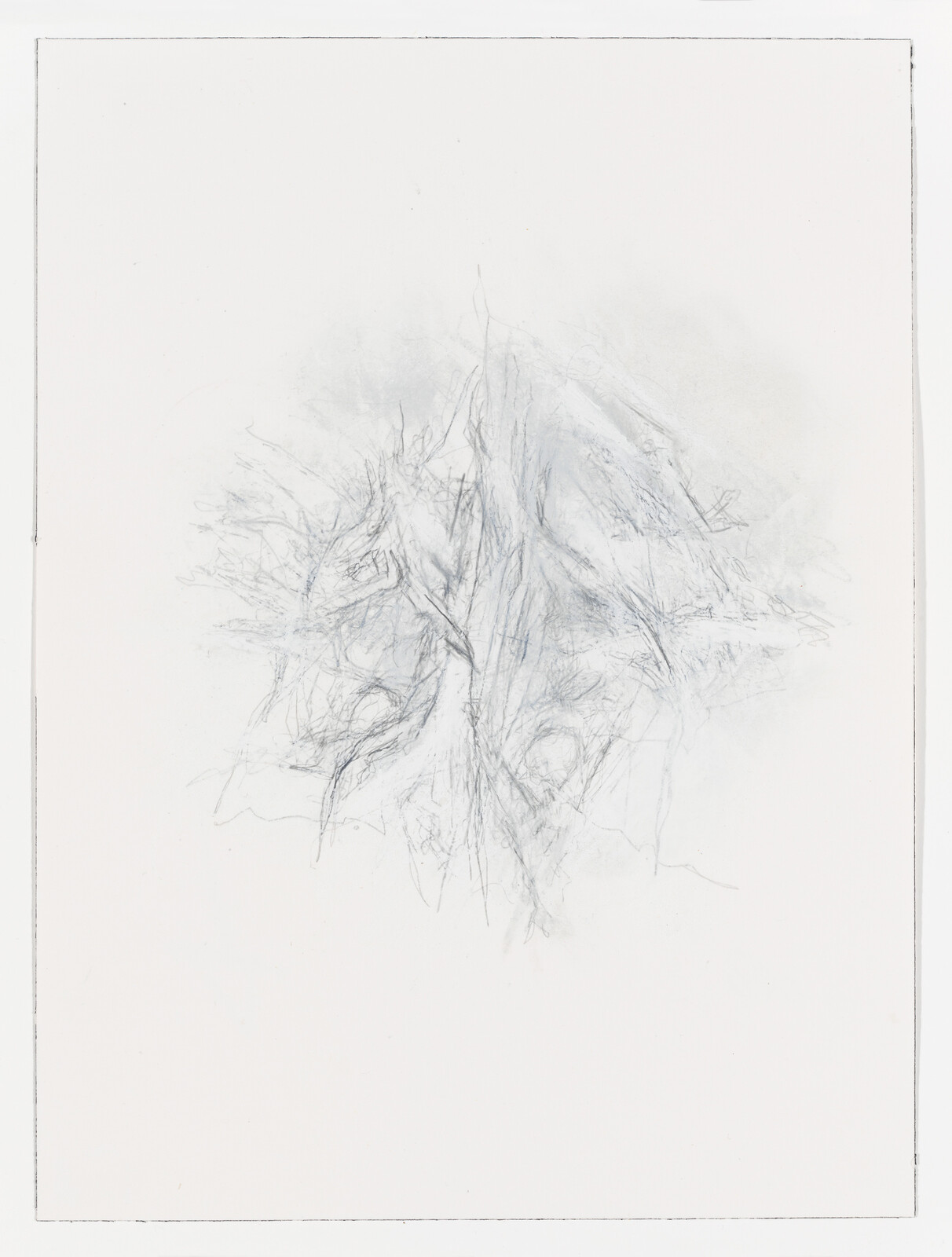 Delicate pencil sketch of tangled roots and branches centered on a blank page.