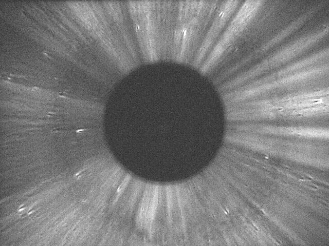 Close-up view of a human eye’s iris and pupil in black and white, showing detailed iris patterns.