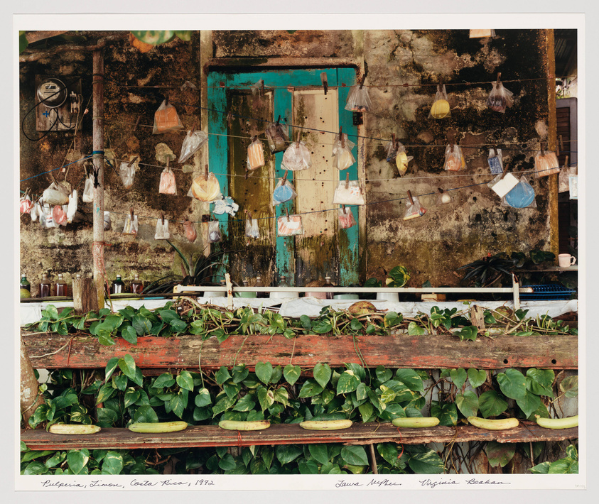 A photograph depicting a weathered wall with a closed teal door, surrounded by moss and mold. Various plastic bags containing unidentified items hang from lines strung across the wall. Below, a shelf with potted plants and cut vegetation is visible, and the image is labeled "Pulpería, Limón, Costa Rica, 1983" with the names "Laura Volkerding" and "Virginia Beahan" in the bottom corners.