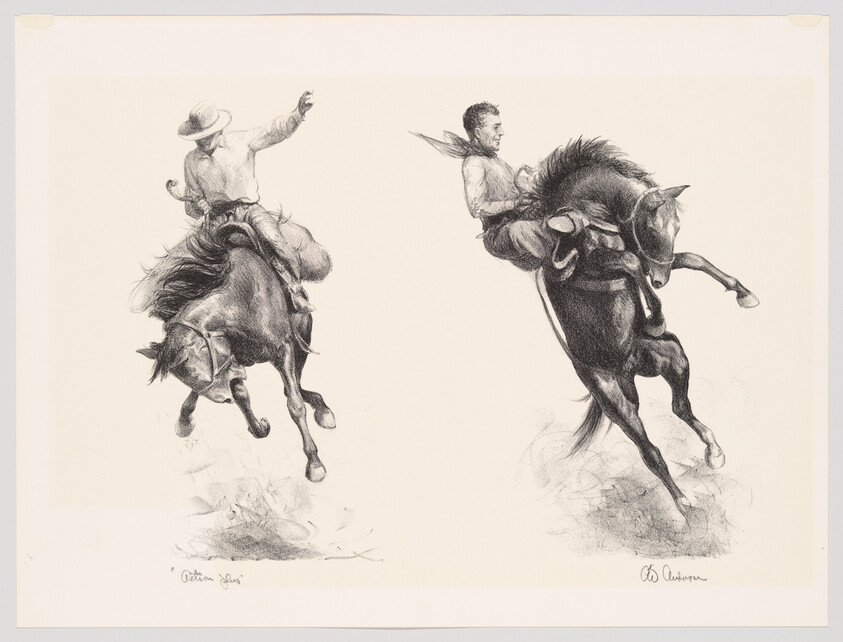 Two cowboys ride bucking horses as they struggle to stay in the saddles.