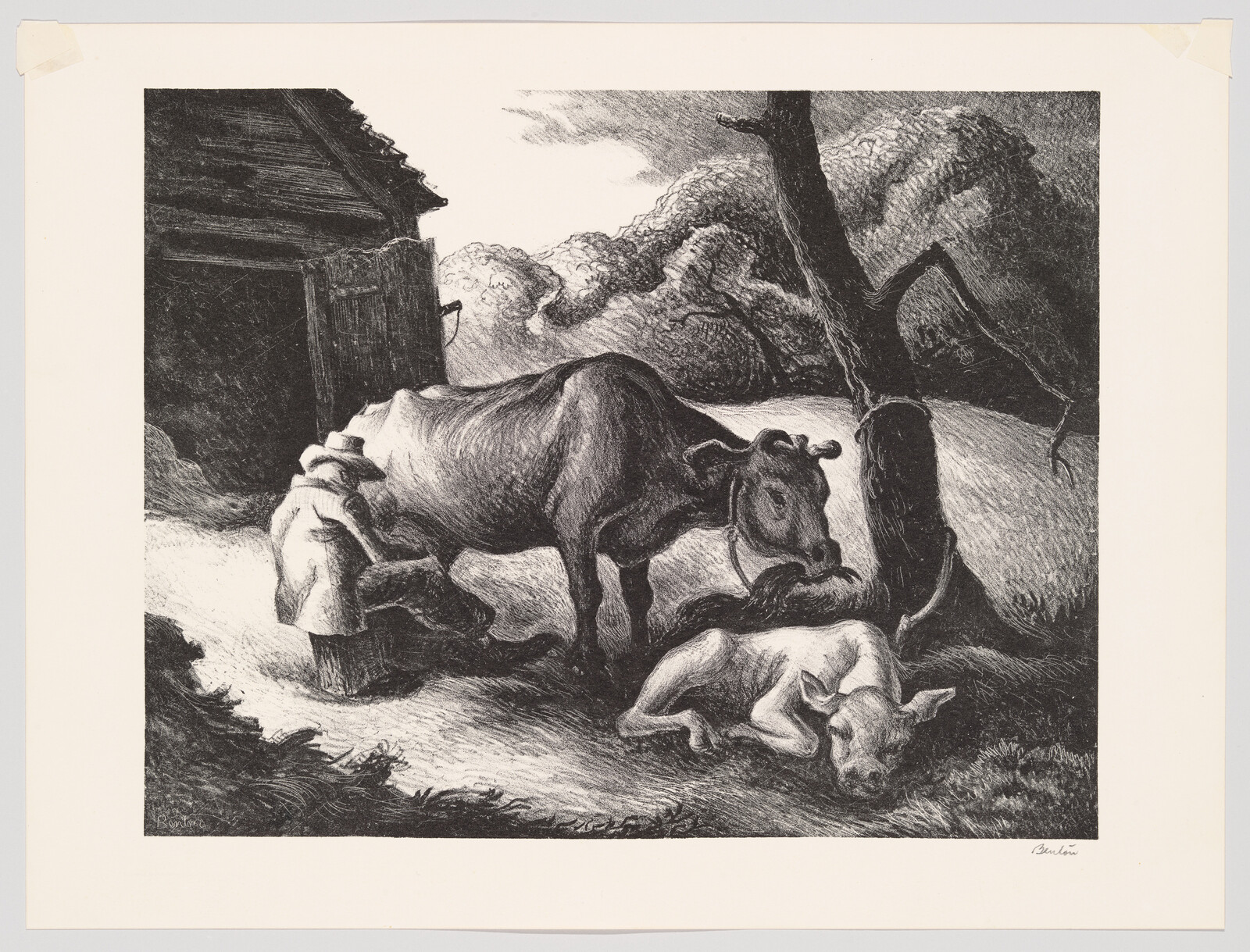 A person milks a cow beside a barn while a calf rests on the ground.