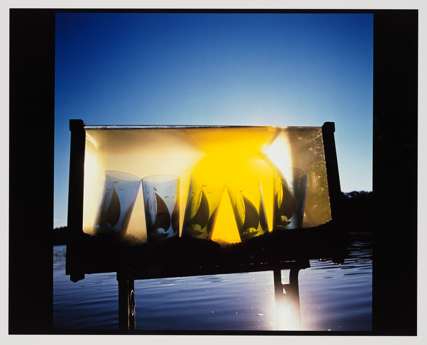Transparent tank on a dock holds cups with fish silhouettes backlit by a bright setting sun.