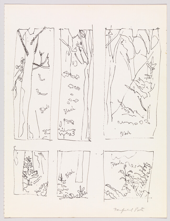 Six quick pen sketches showing tree trunks and undergrowth in vertical panels.