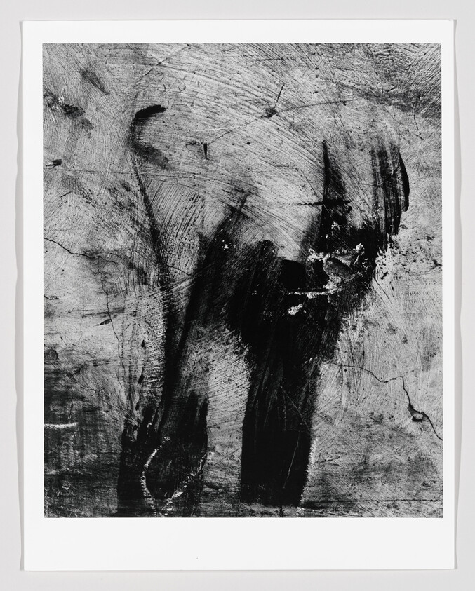 Abstract black brush strokes and scratches sweep across a gray, cracked textured surface.